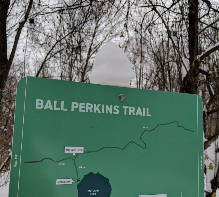 ball-perkins-park-photo